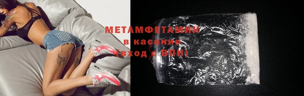 шишки Надым