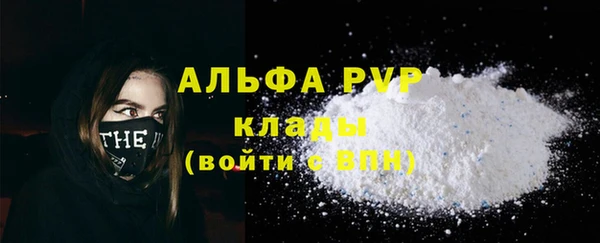 ECSTASY Майский