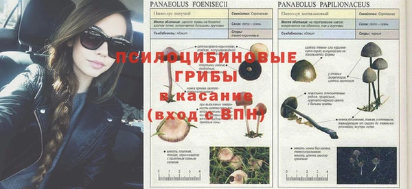прущая мука Михайловка