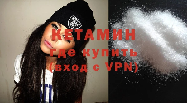 шишки Надым