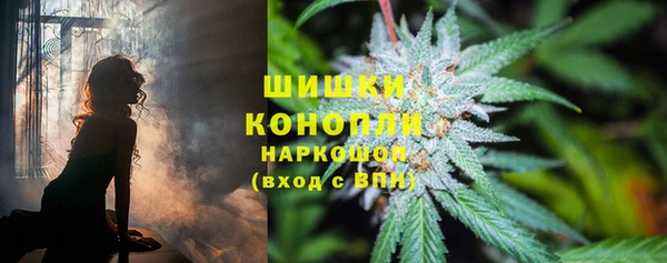 дживик Навашино