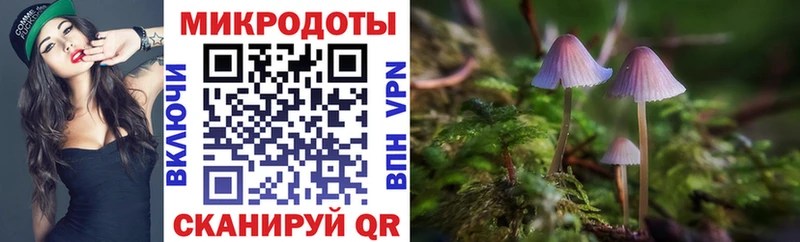 Галлюциногенные грибы GOLDEN TEACHER где найти наркотики Шацк
